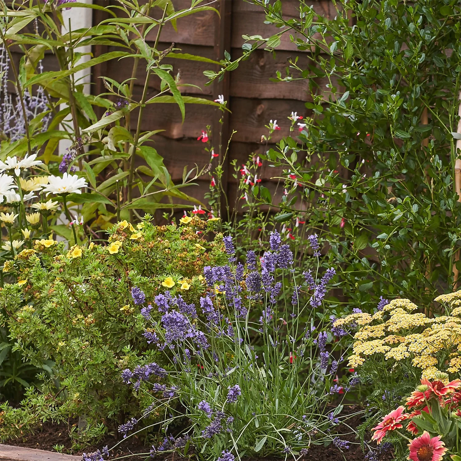 Bee And Butterfly Border Collection - 4m X 90cm - Image 5