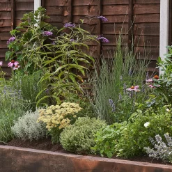 Sensory Border Collection - 10m X 60cm