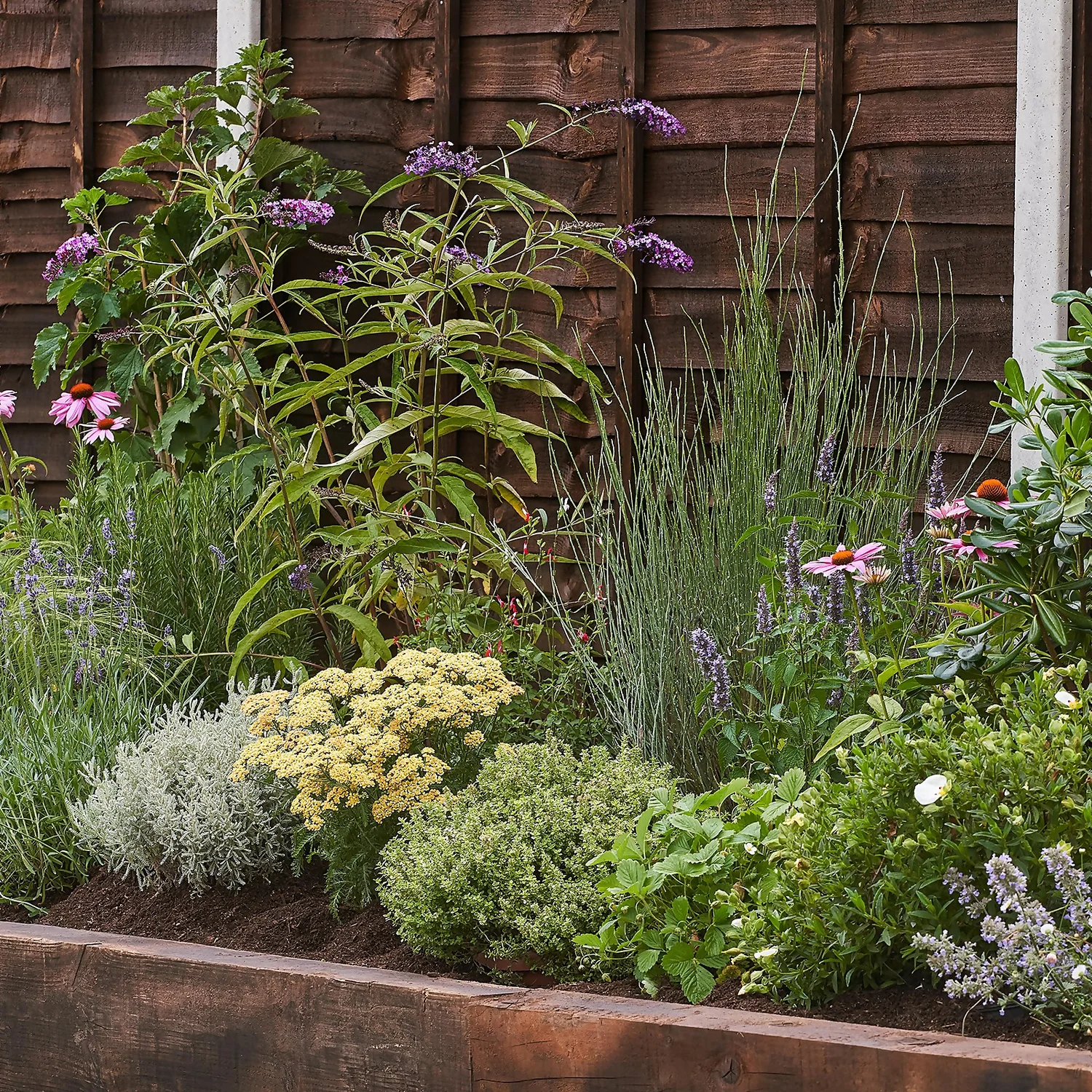 Sensory Border Collection - 8m X 90cm