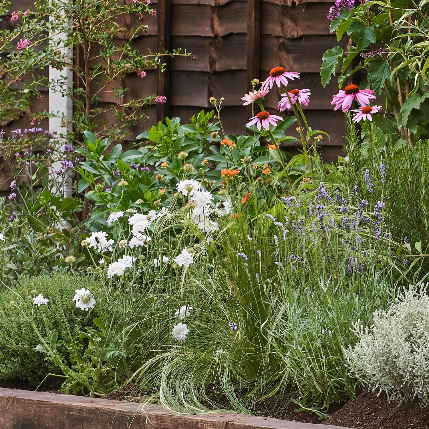 Sensory Border Collection - 8m X 90cm - Image 4