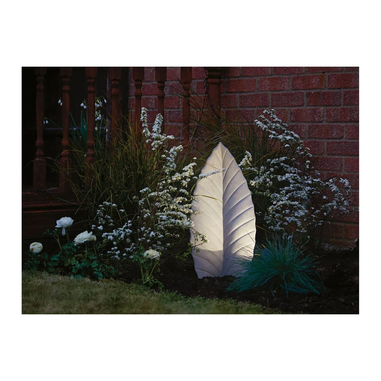 Grass Festuca Intense Blue (Blue Fescue) 17cm - Image 2