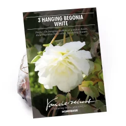 None Begonia - White - Summer Bloom Bulbs