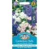 Mr. Fothergill's Canterbury Bells Cup & Saucer Mixed Seeds