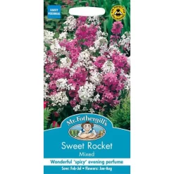 Mr. Fothergill's Sweet Rocket Mixed Seeds