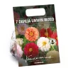 None Mixed Unwin Dahlia's - Summer Bloom Bulbs