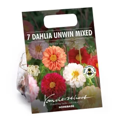 None Mixed Unwin Dahlia's - Summer Bloom Bulbs