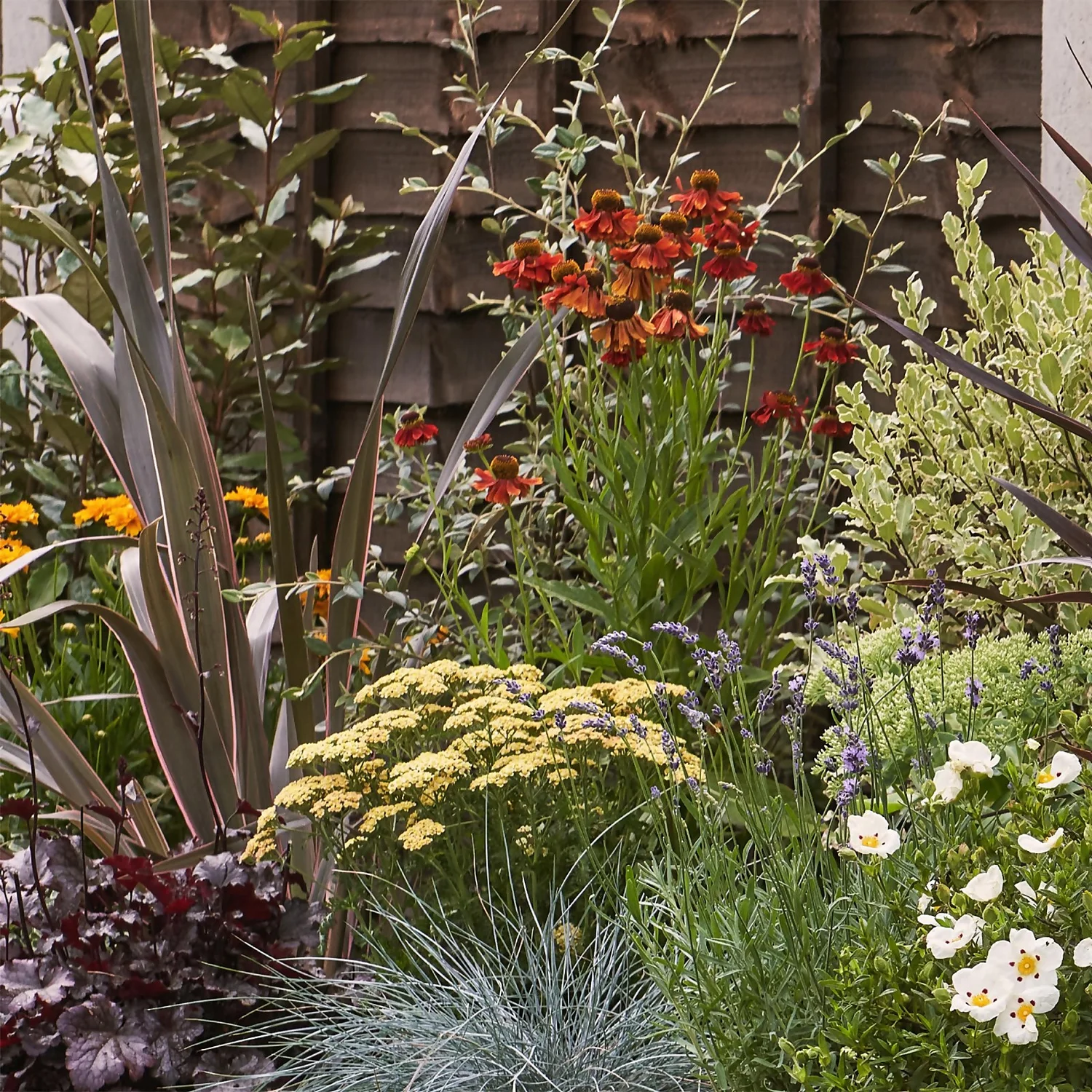 Mediterranean Border Collection - 7m X 90cm - Image 4