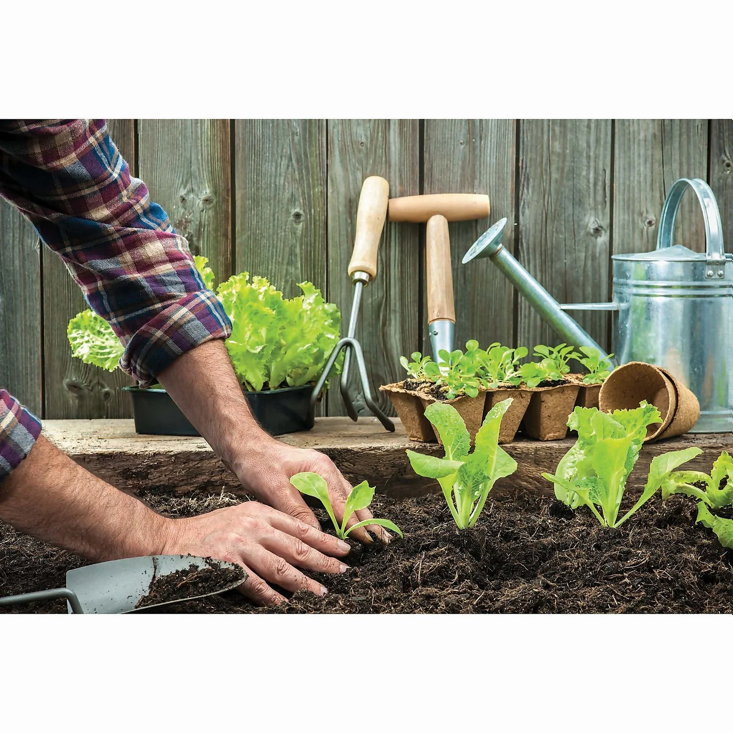 RHS Horticultural Silver Sand - Large - 20kg - Image 2