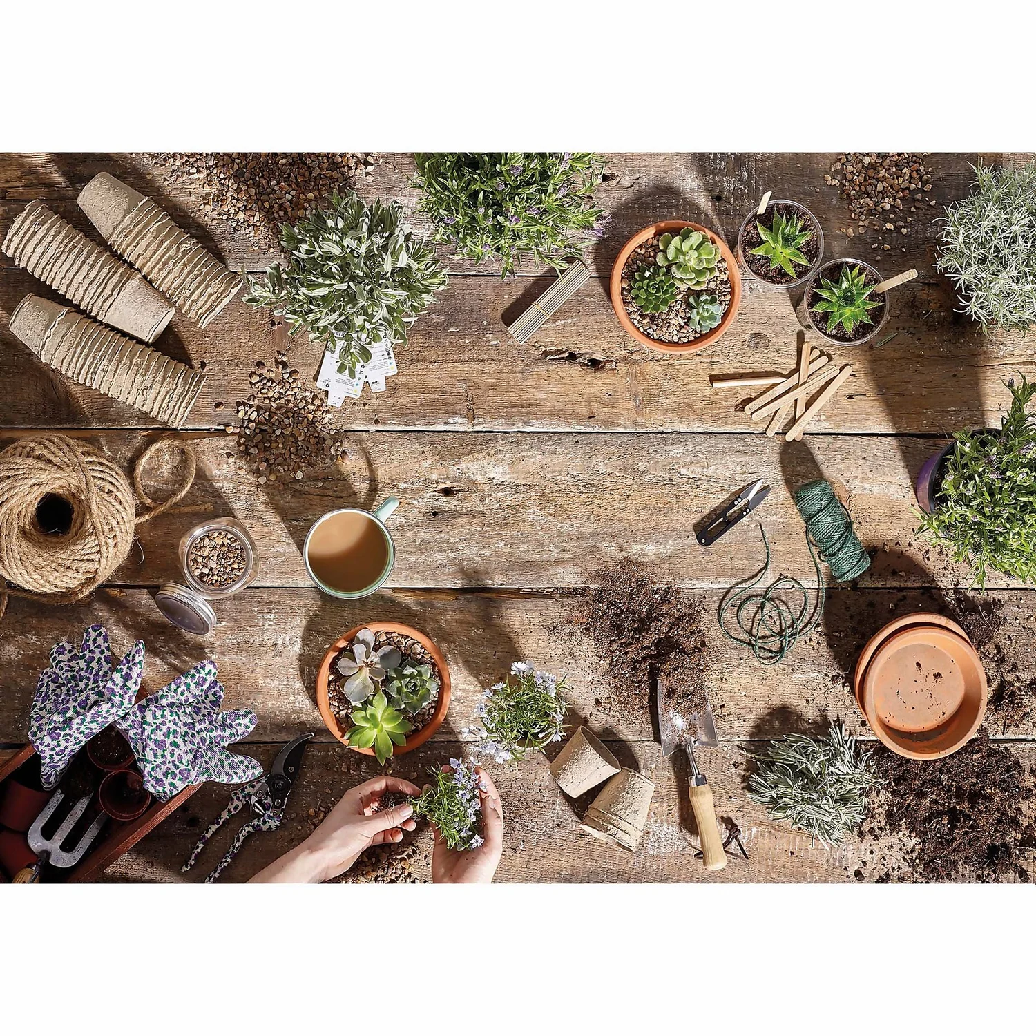 RHS Horticultural Silver Sand - Large - 20kg - Image 3