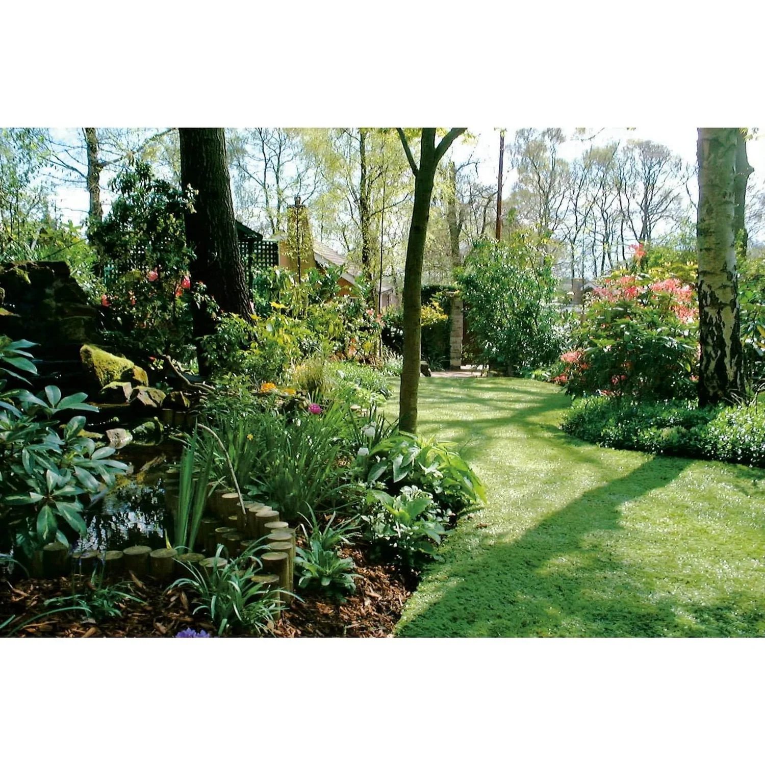 Nomow 40mm Luxury Lawn Artificial Grass Roll - 2m Width - Image 4