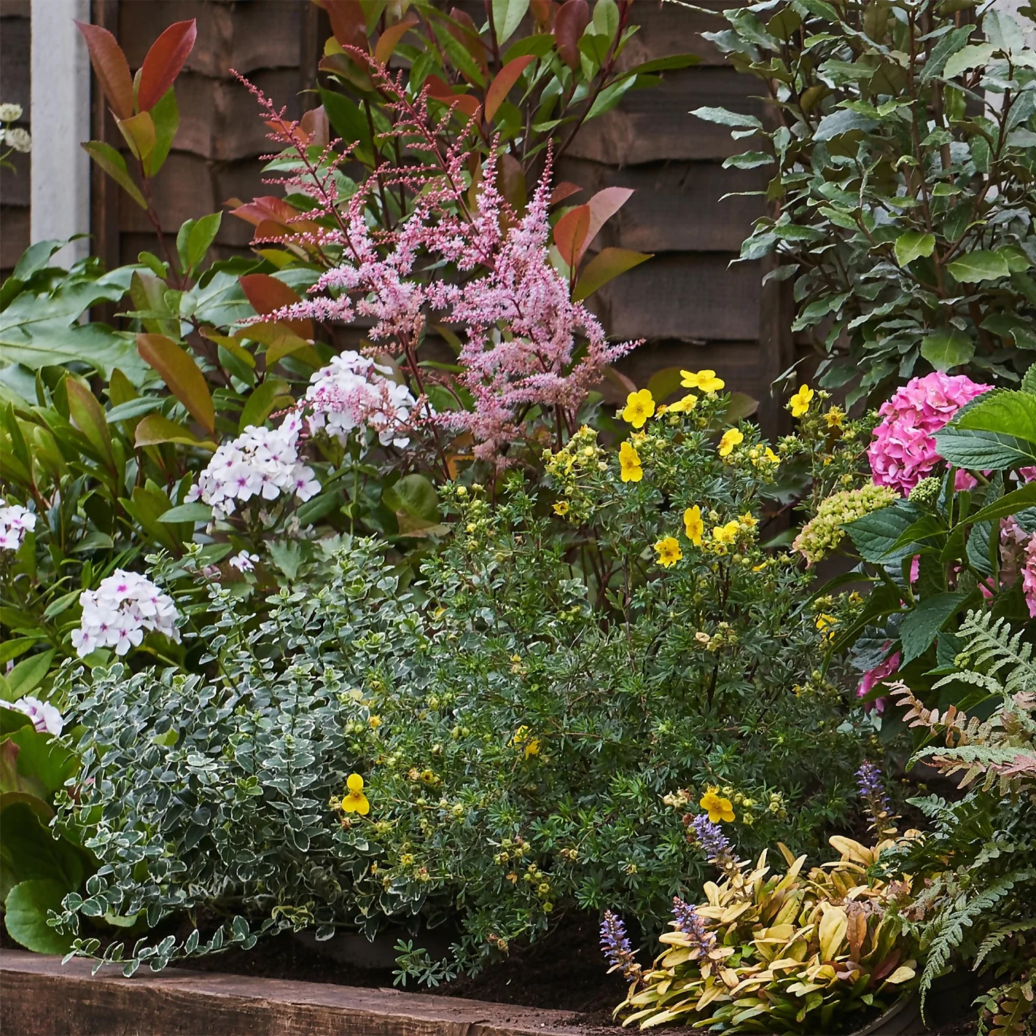 Shady Border 7m X 40cm - Image 4