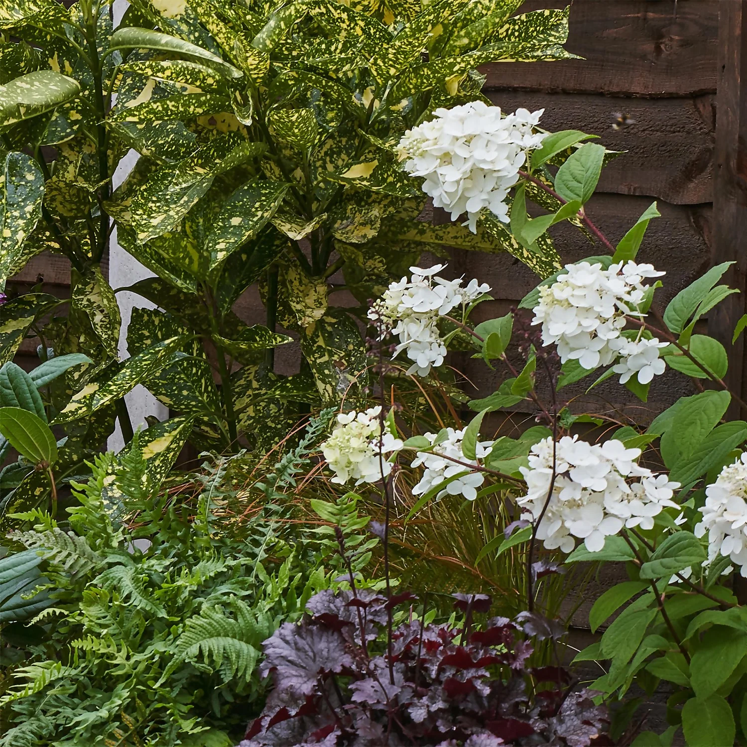 Shady Border 7m X 40cm - Image 6