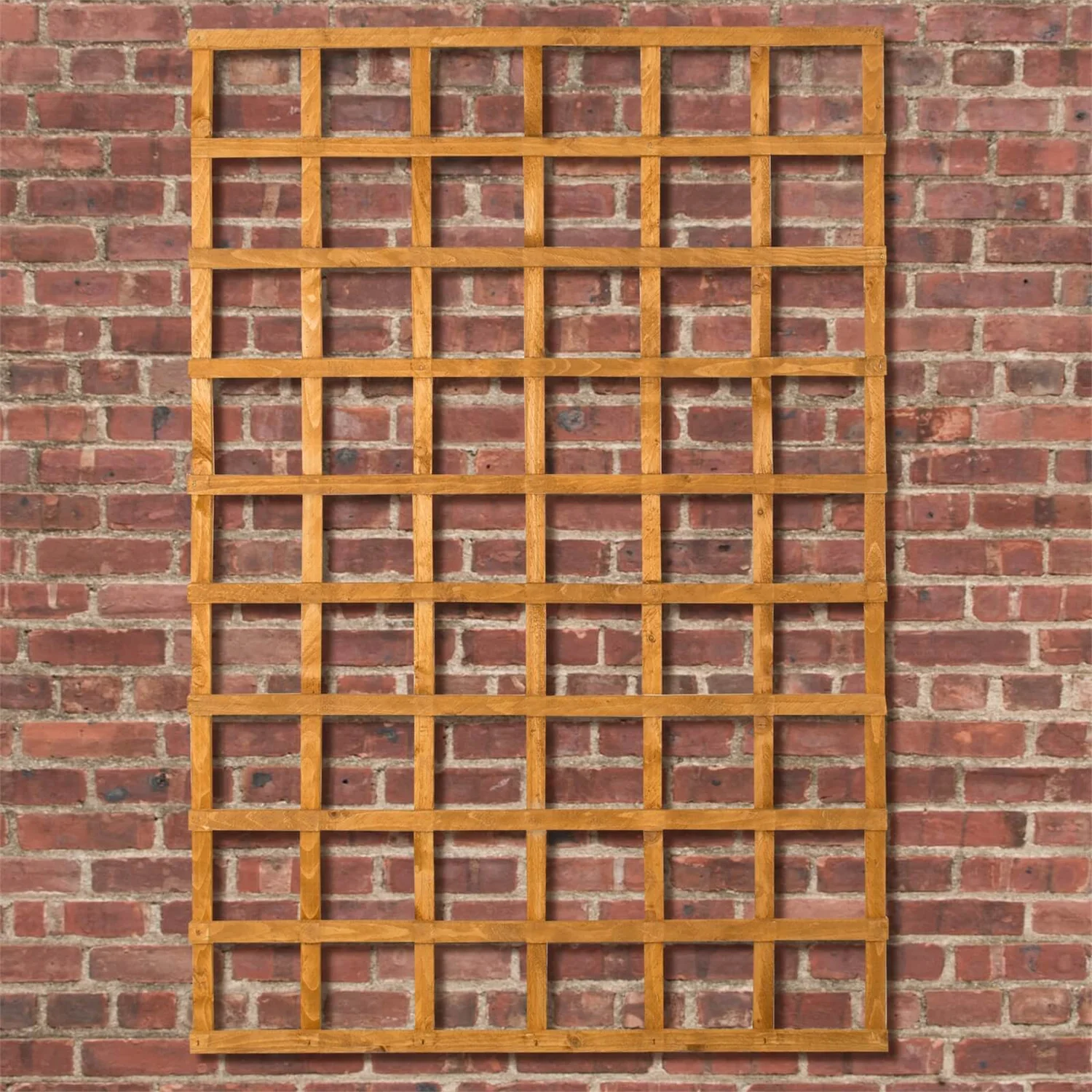 Heavy Duty Trellis - 122cm - Pack Of 5 - Image 4