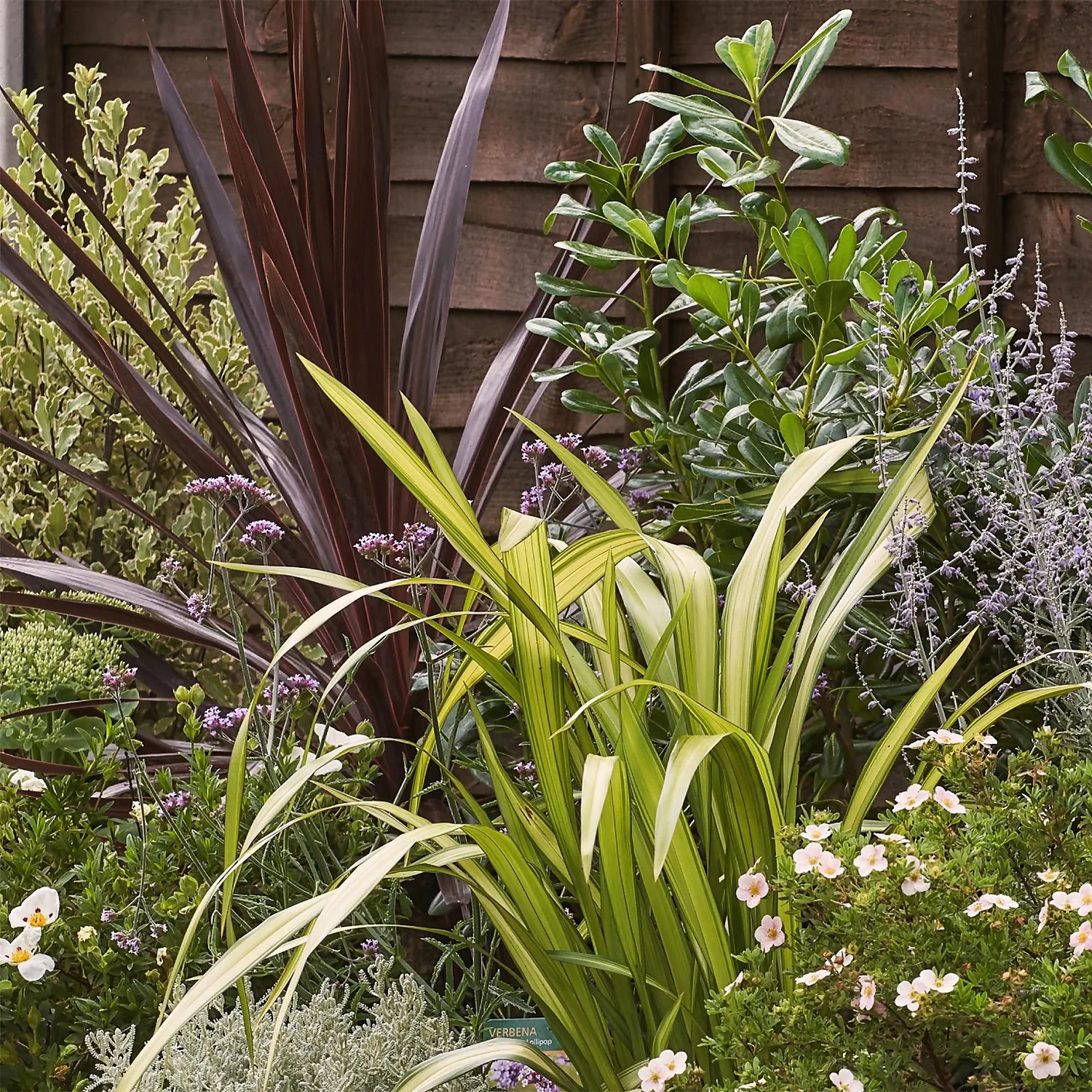 Mediterranean Border 9m X 40cm - Image 5