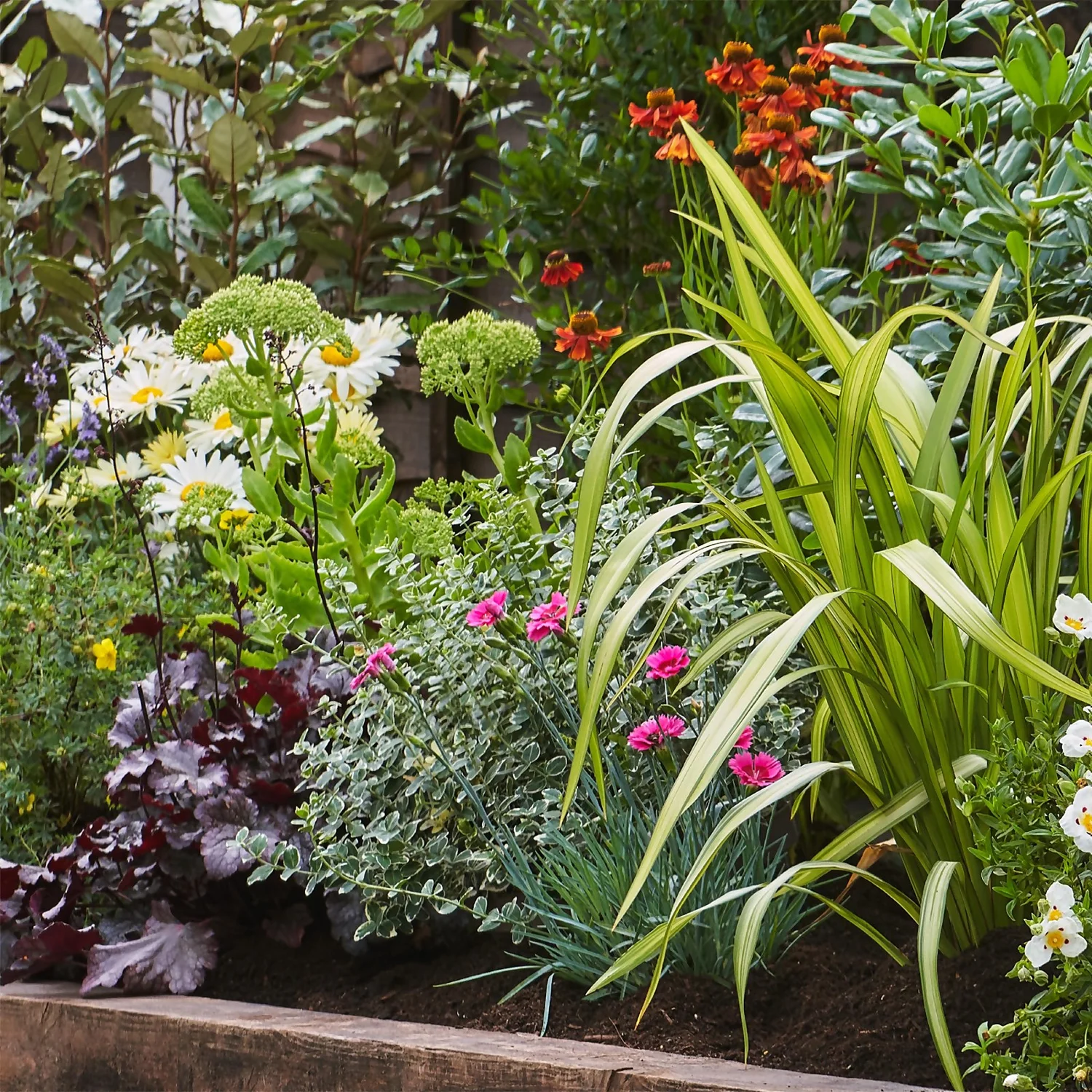 Sunny Border 5m X 120cm - Image 4