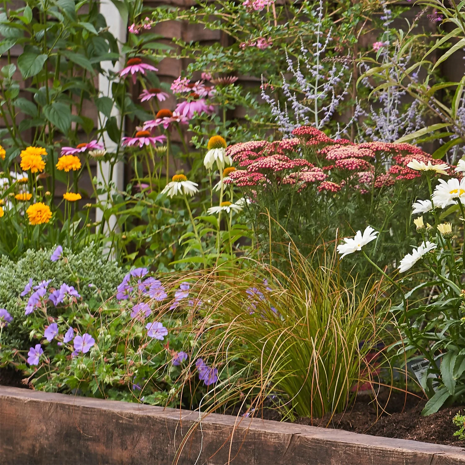 Bee And Butterfly Border 8m X 120cm - Image 4