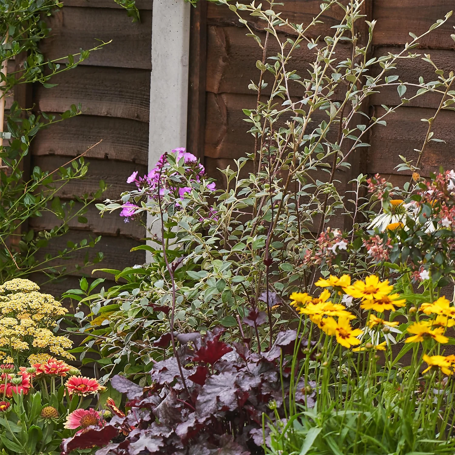 Bee And Butterfly Border 9m X 120cm - Image 6