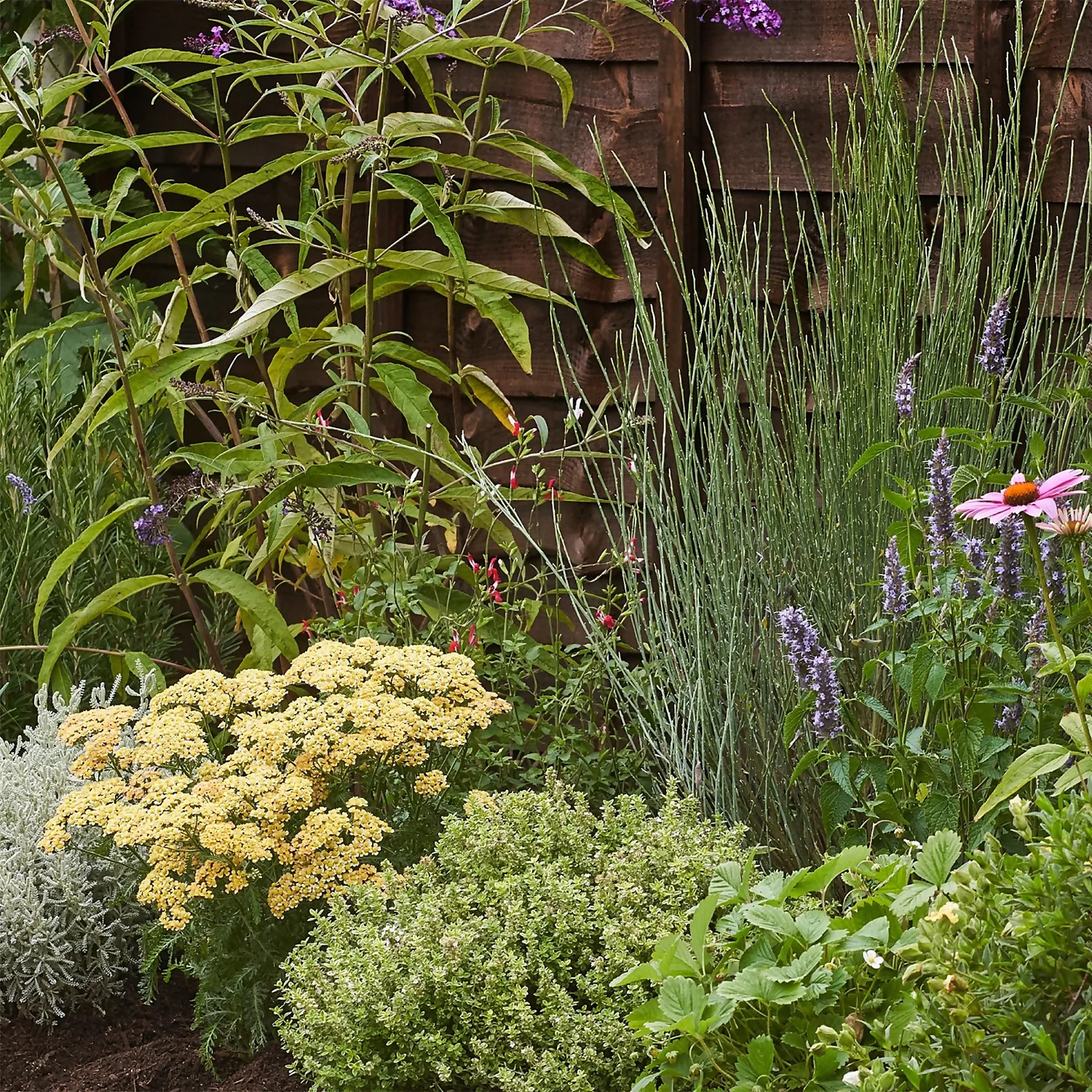 Sensory Themed Border 5m X 120cm - Image 5