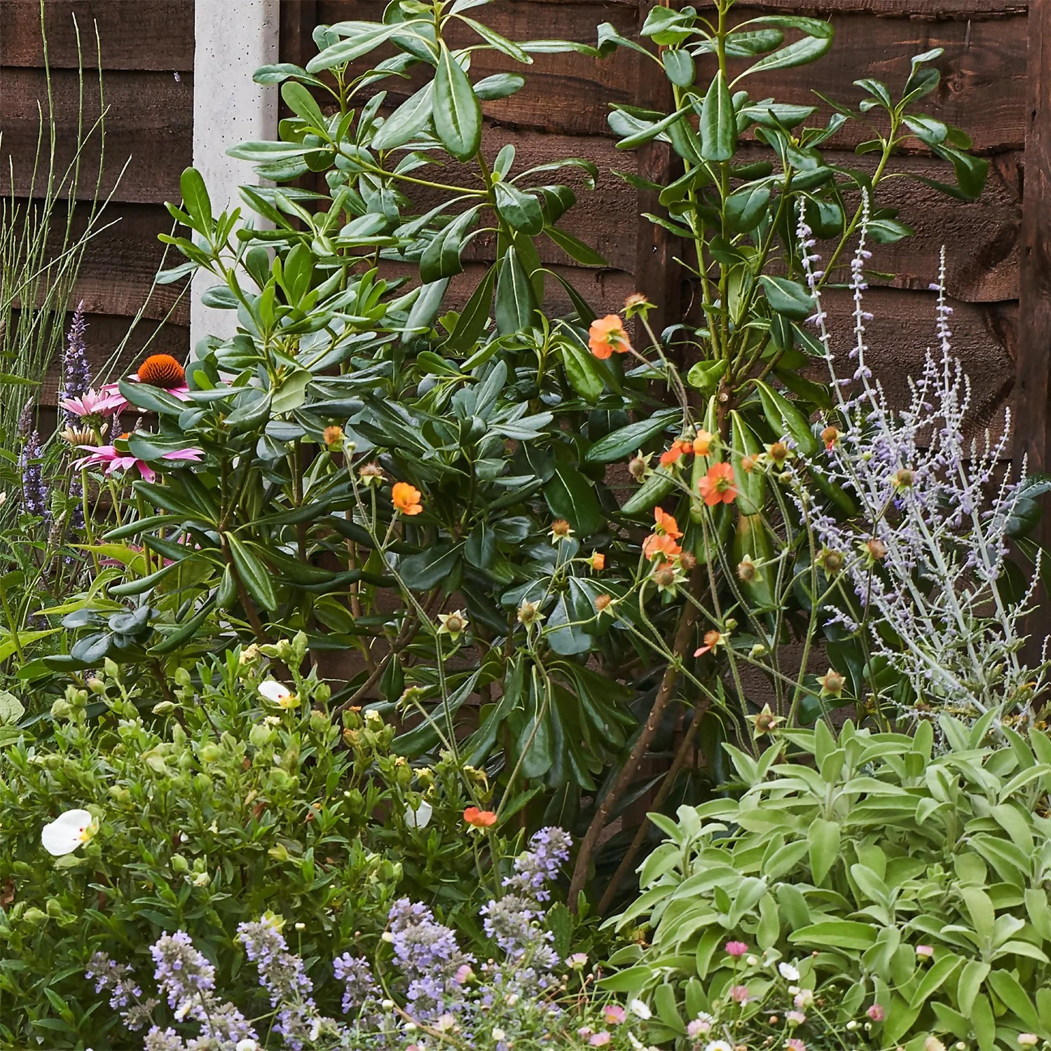 Sensory Themed Border 5m X 120cm - Image 6