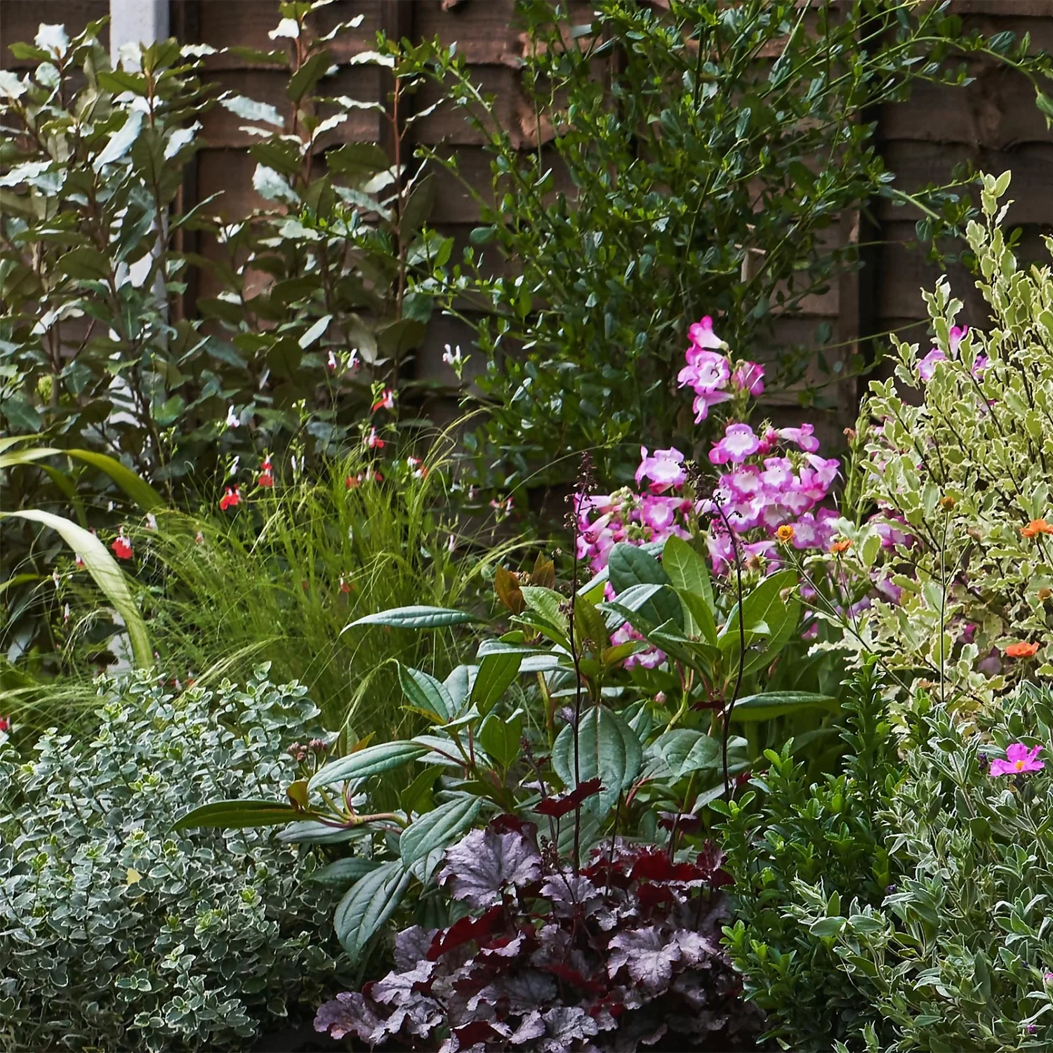 Garden On A Roll Eco Border - 5m X 90cm - Image 4