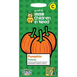 MRF CIN Pumpkin Pudsey Packet