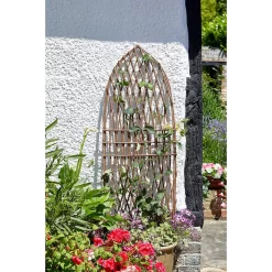 Smart Garden Minster Willow Trellis Point 1.8 X 0.6m