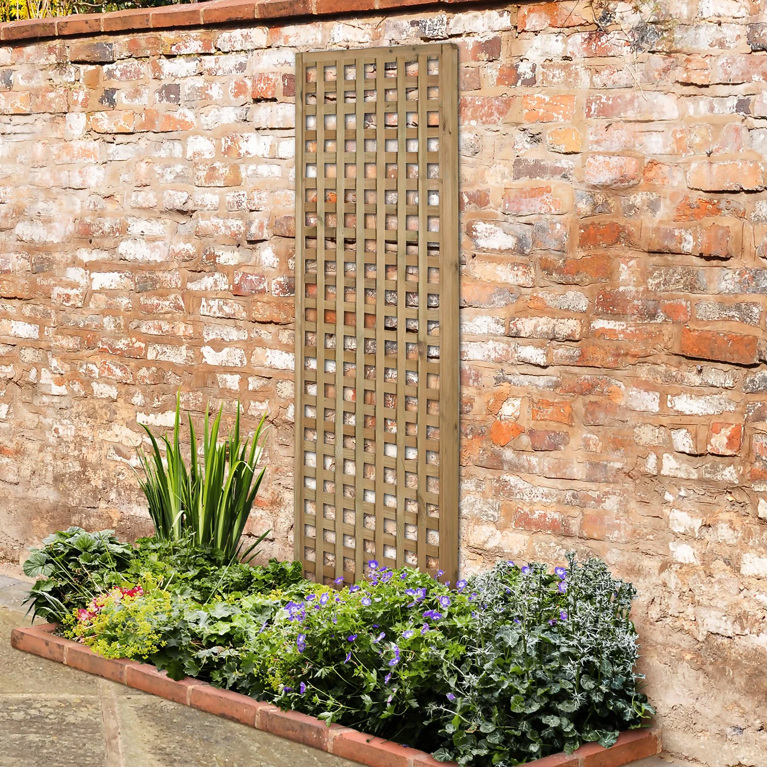 Forest Prem Framed Trellis - 180x60cm - 5pk - Image 2