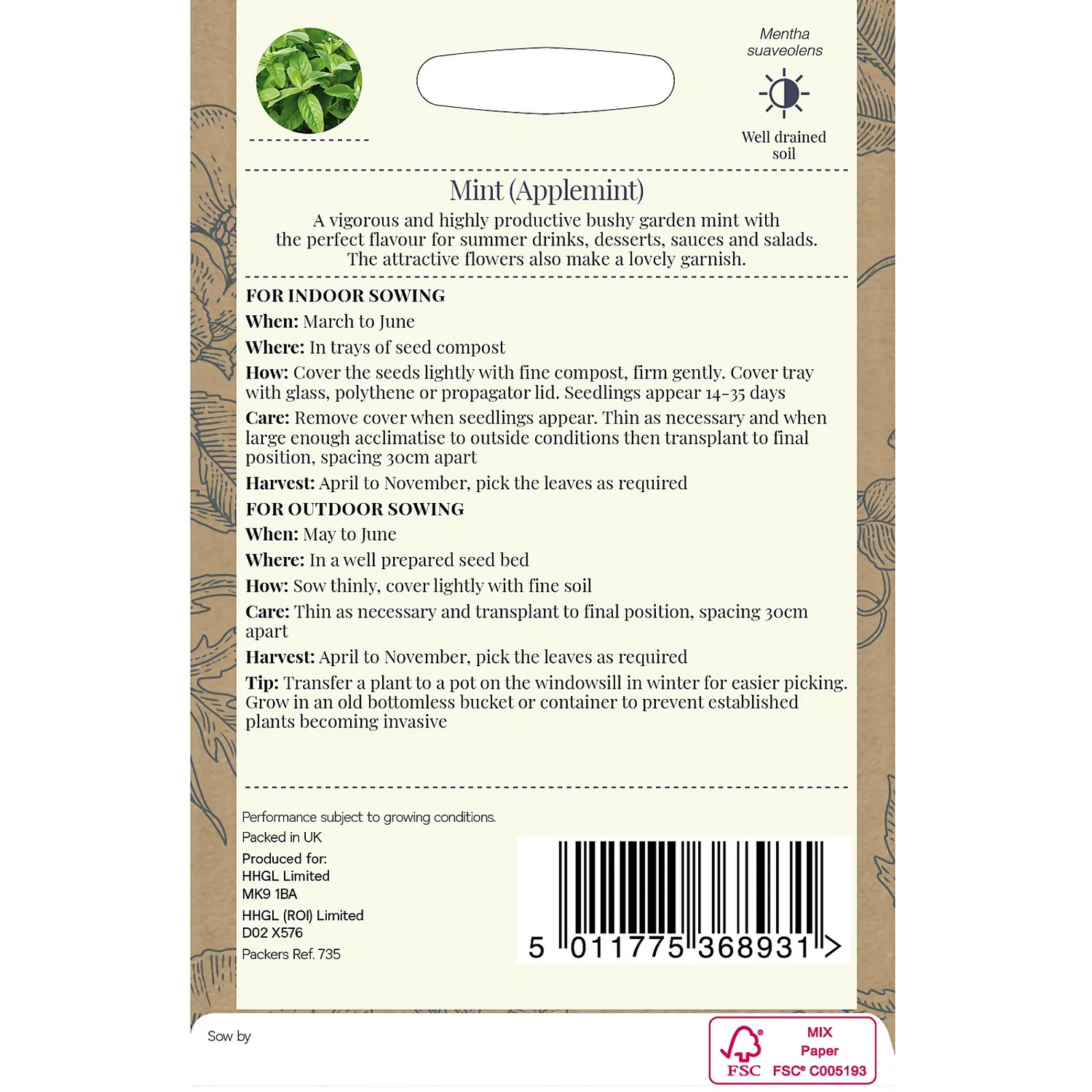 Country Living Mint Applemint Seeds - Image 2