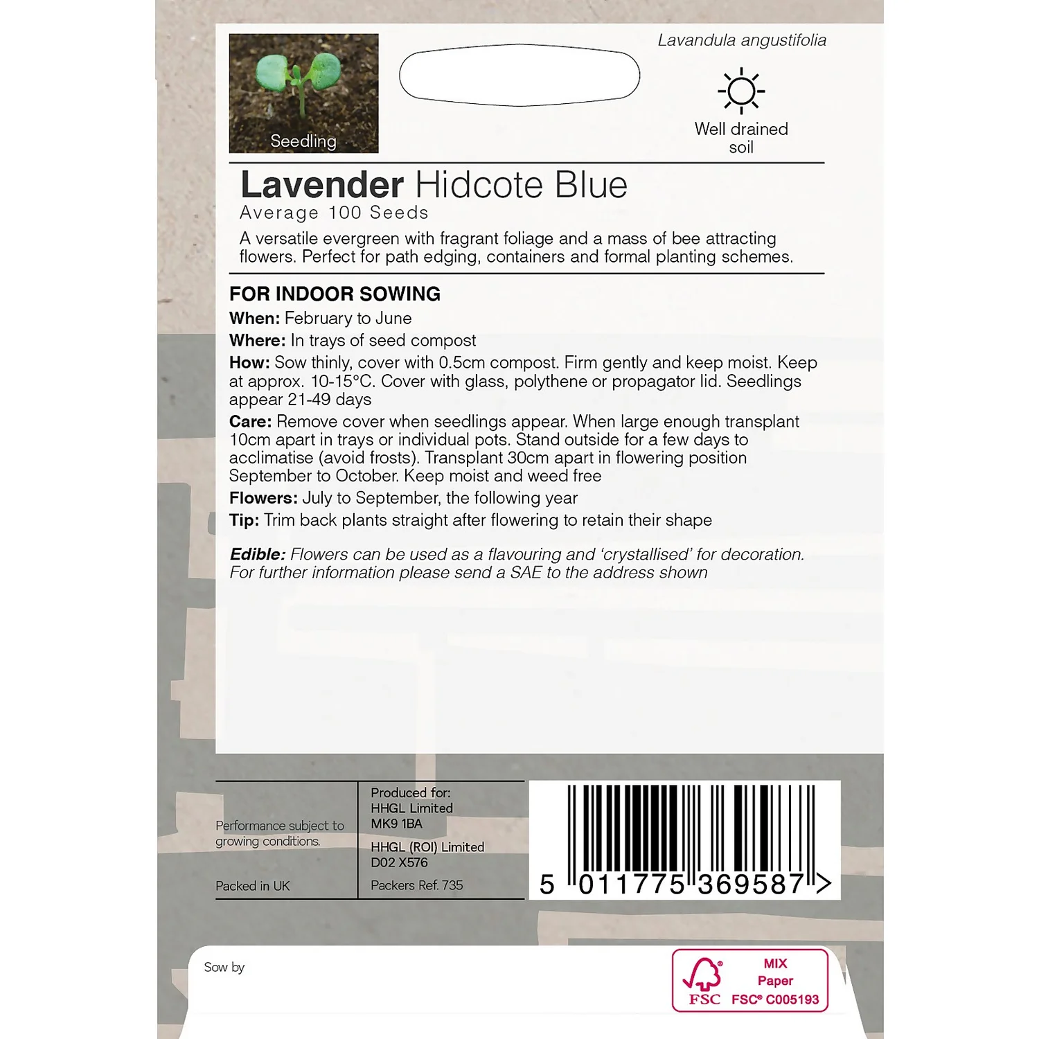 House Beautiful Lavender Hidcote Blue Seeds - Image 2