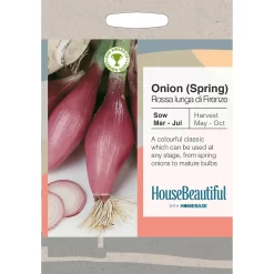 House Beautiful Onion Spring Rossa Lunga Di Firenze Seeds