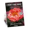 None Peony Lactiflora Coral Sunset Flower Bulb
