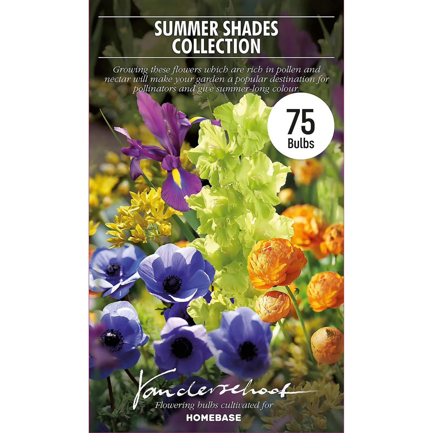 None Summer Shades Flower Bulb Collection - Image 2