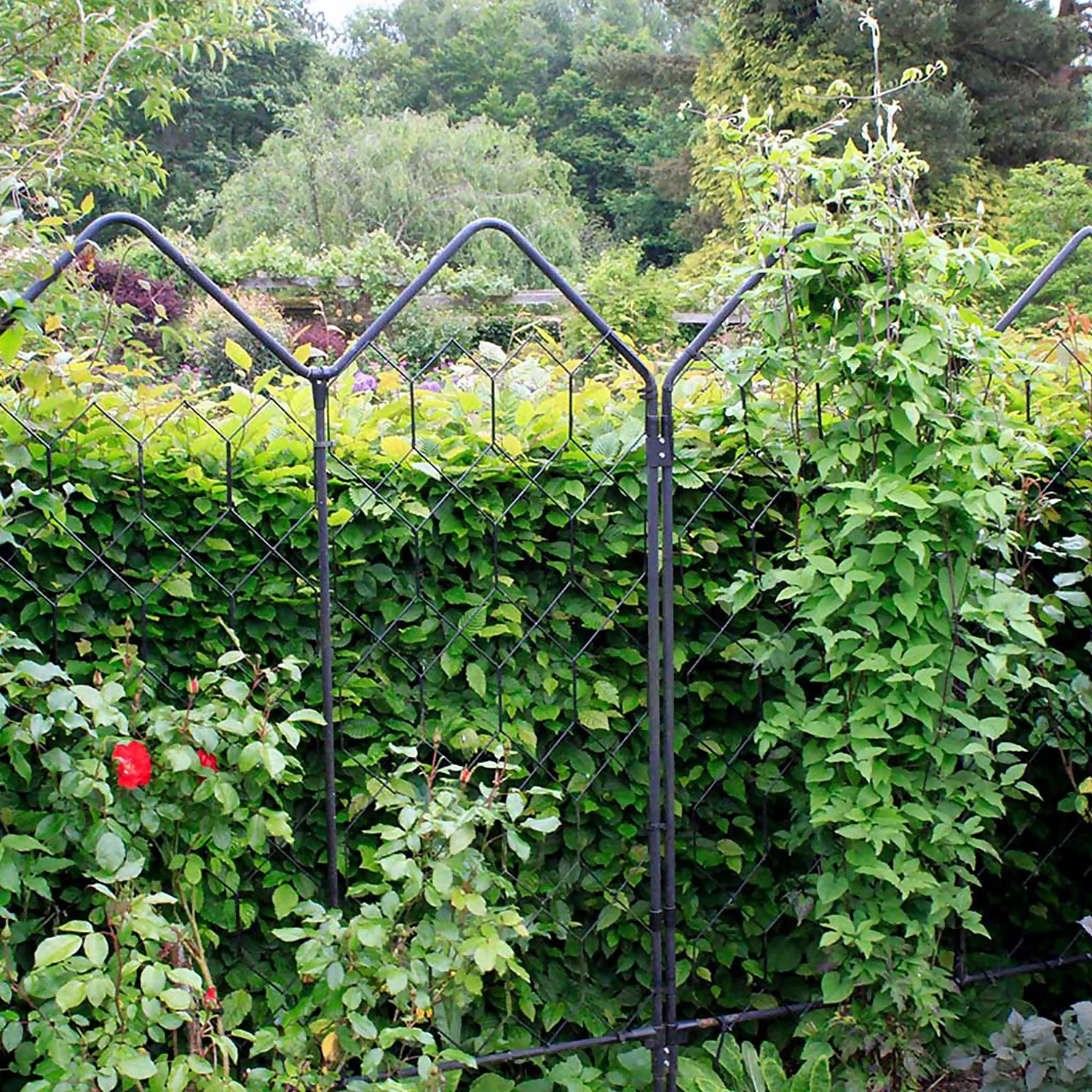 Agriframes Alpine Garden Screen - W 1.2m X H 1.7m - Black - Image 2