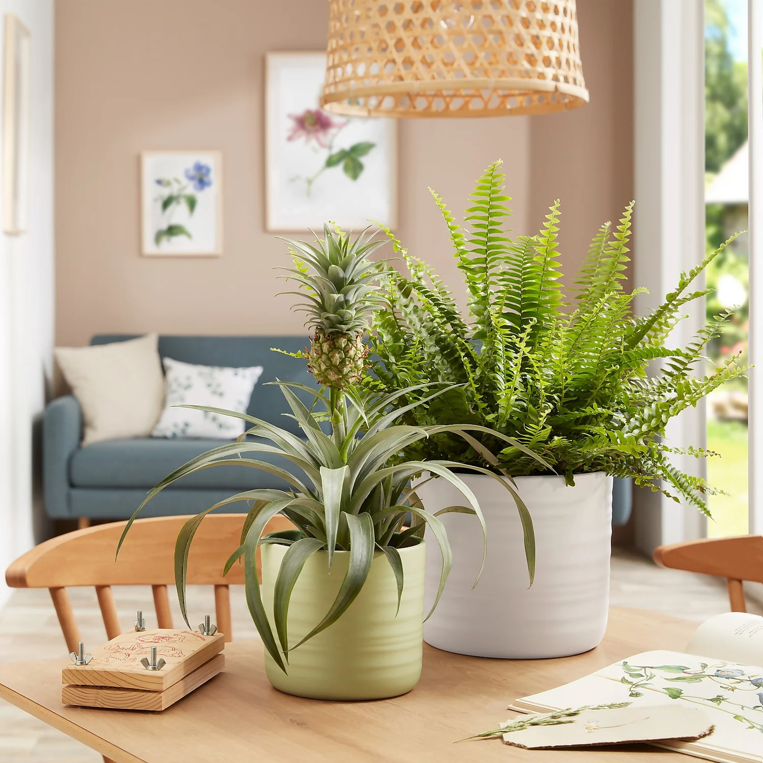 Scheurich Ripple White Indoor Pot - 20cm - Image 3