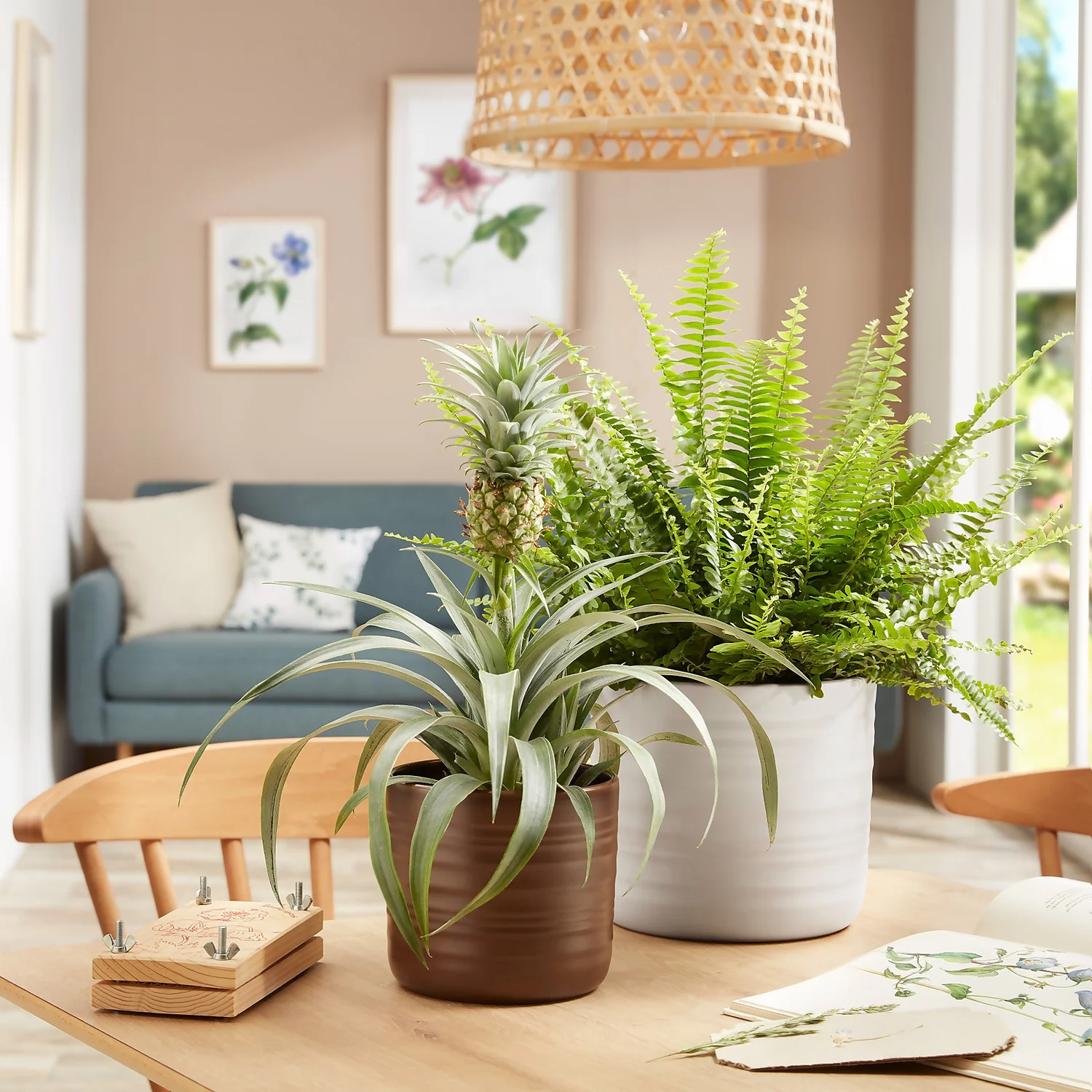 Scheurich Ripple White Indoor Pot - 20cm - Image 2