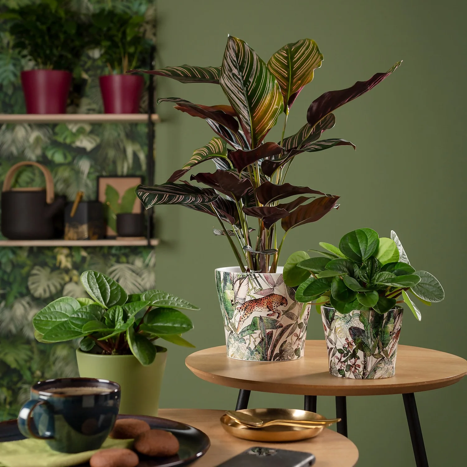 Scheurich Wildlife Indoor Pot - 13cm - Image 2