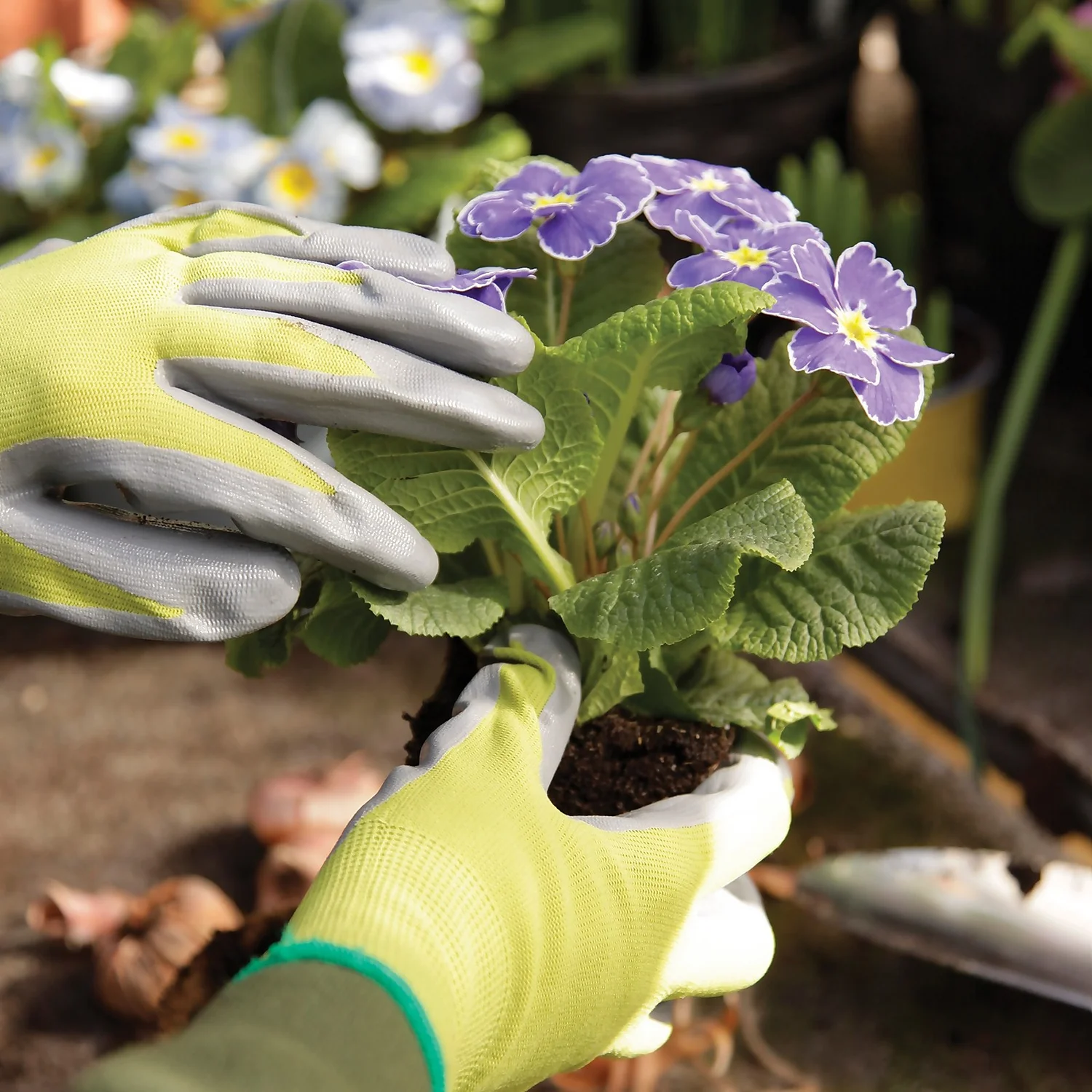 Kew Gardens Seeding And Weeding Gardening Gloves - Large - Image 2