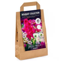 Collection Pretty Posy