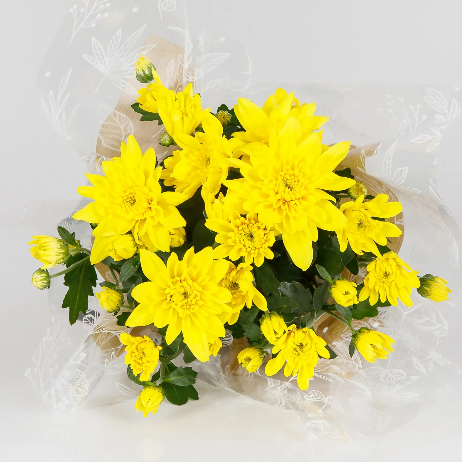 Gift Wrapped Chrysanthemum - 12cm - Image 4